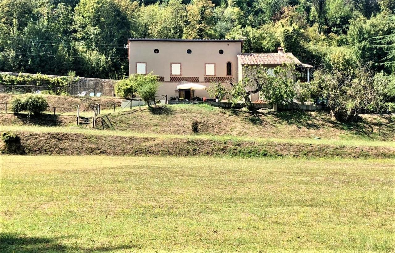 Villa Viola 卢卡 外观 照片